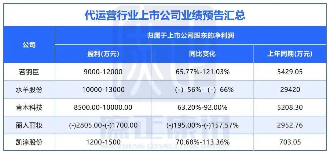 预增领跑加固大健康头部竞争优势AG真人平台若羽臣2024业绩(图2)